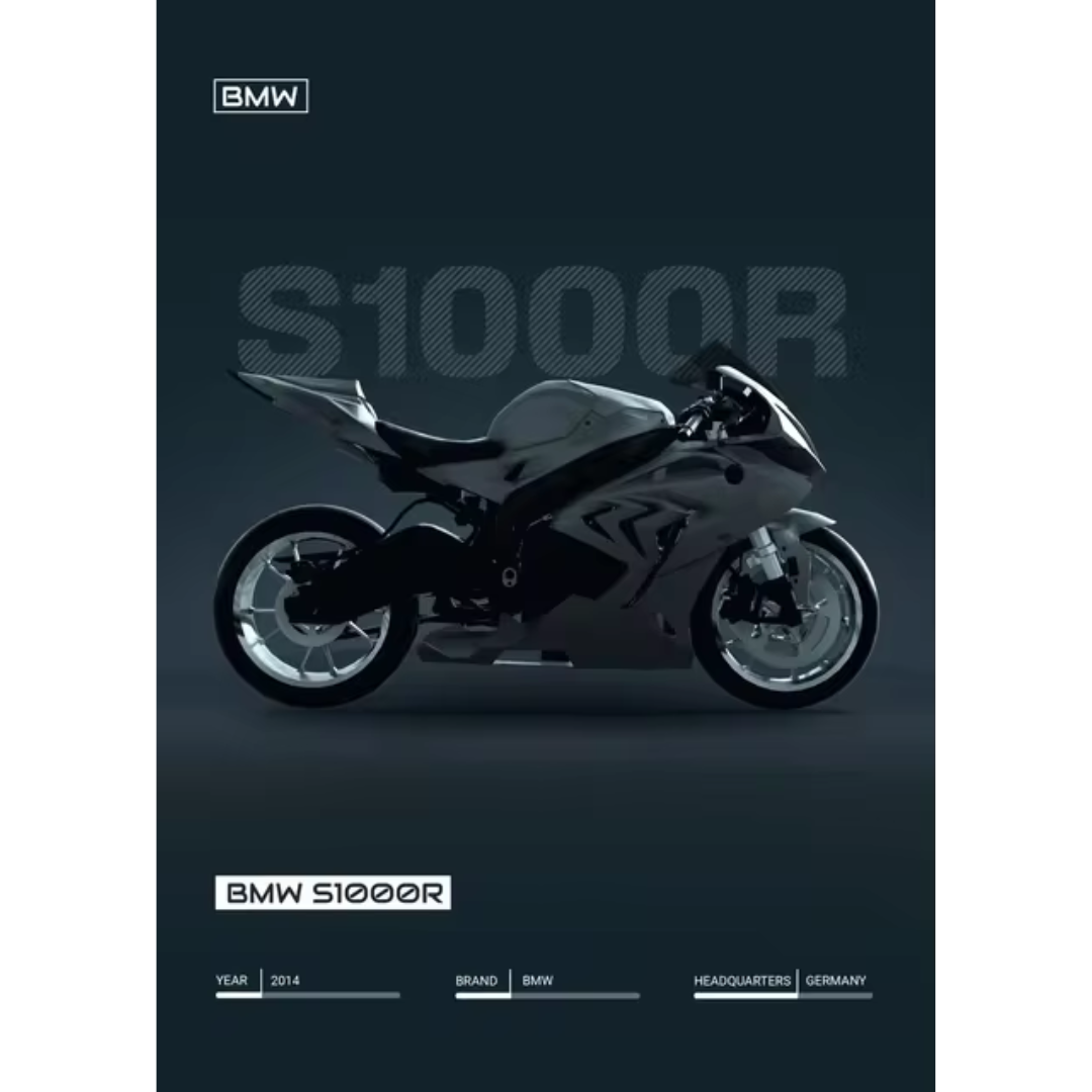 BMW S1000R 2014 (Poster)